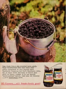 1960 Food Jelly Kraft Blackberry Preserves 60s Vintage Print Ad Fruit Jar Bucket - Picture 1 of 7