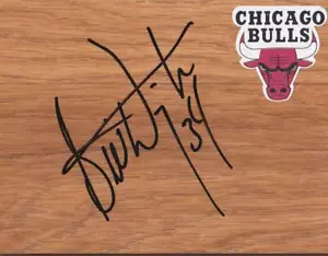 Chicago Bulls Bill Willington signierte Diele Echtheitszertifikat - Bild 1 von 1