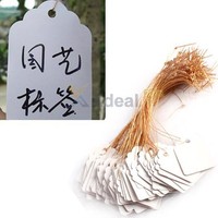 100pcs Waterproof Plastic Strip Line Garden Plant Labels Signs Hanging Tags Gray