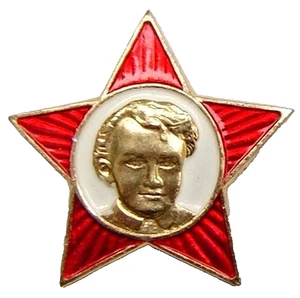 URSS Escuela Rusa Soviética Lenin Comunista Octobrista Estrella Roja Pin Insignia CCCP - Imagen 1 de 2