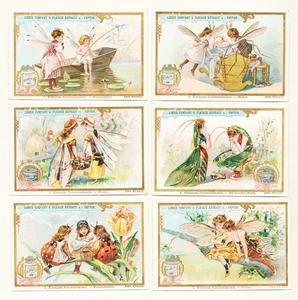 Liebig Sammelbilder Kindliche Naturgeschichte Sanguinetti S 576 Litho 1898 Teen - Bild 1 von 1