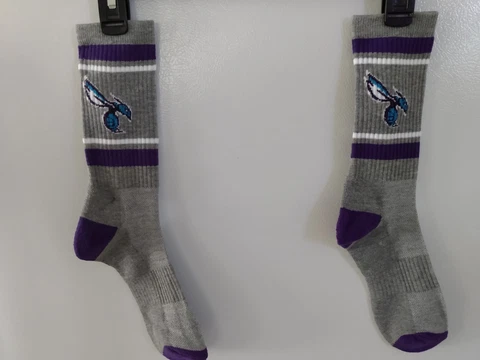 Charlotte hornets socks..NBA.. free shipping too!! Cover