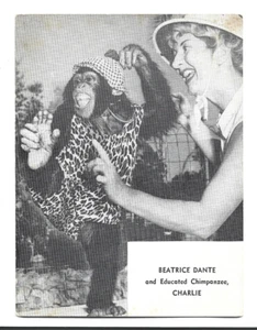 BEATRICE DANTE & EDUCATED CHIMPANZEE,CHARLIE~WILD ANIMAL RANCH-ST PETERSBURG,FL - Picture 1 of 2