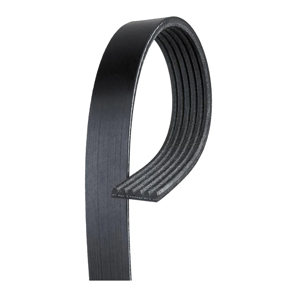 Genuine ACDelco For Chevy Lumina/Monte Carlo 1996-1999 V-Ribbed Serpentine Belt - Изображение 1 из 4