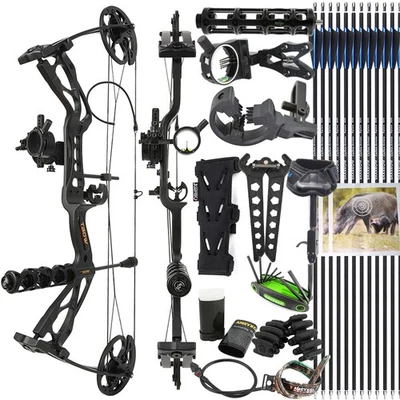 30'' Compound Bow Kit 0-70lbs Carbon Arrows Archery Bow sight Hunting Target RH - Image 1 of 4