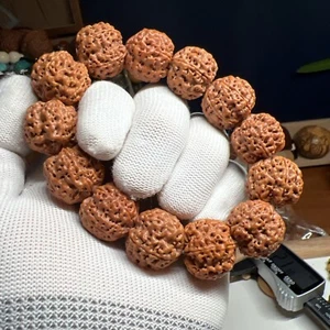 21×19mm Super Quality Rudraksha Bracelet 21mm 五星老树蜂王👑大金刚菩提手串 - Picture 1 of 14