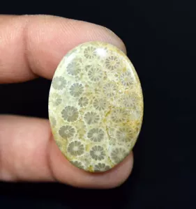 38,60 Cts. Piedra preciosa suelta cabujón ovalado coral fósil flor amarilla 100 % natural - Imagen 1 de 2
