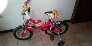 Biciclette Regina | Acquisti Online su eBay