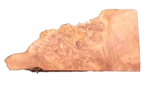 MAPLE BURL BLANK CRAFTING WOODWORKING APPROX 21x11x3 IN - Picture 1 of 3