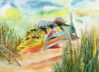 Butterfly Peacock Bass Fish Watercolor Painting Art Print 11"X14" Fisherman Gift