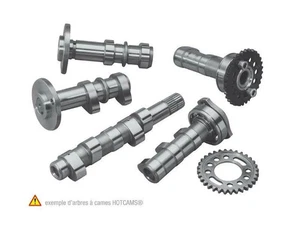 HOT CAMS HC00061 Camshaft Intake - Stage 2 Yamaha WR450F - Bild 1 von 1