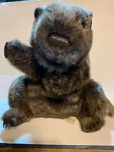 Folkmanis Puppets #3169 Retired Groundhog Hand Puppet - Picture 1 of 6