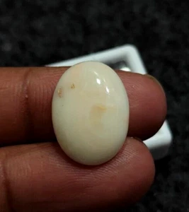 100% Natural Japanese coral cabochon,TOP LUXURY,pink Precious,Loose gemstone. - Picture 1 of 5