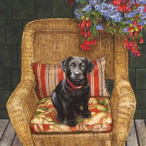 Juego de posavasos/4 muy buen cachorro negro laboratorio Suellen Ross arte para legado NUEVO - Imagen 1 de 4