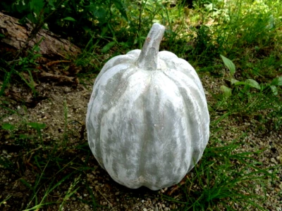 Molde de calabaza de látex con respaldo de plástico molde de yeso de hormigón de 8" H hasta vástago x 6" W Foto 1 de 4