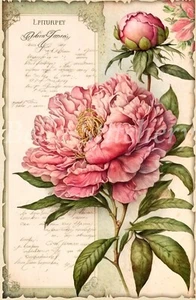 Vintage Shabby Chic Rosa Pfingstrosen Collage #2 Basteln Nähen Baumwolle Stoff Block - Bild 1 von 1