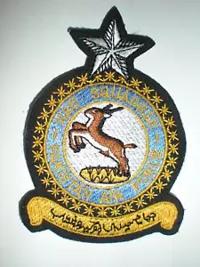 PAKISTAN AIR FORCE NO. 6 SQUADRON PATCH - Picture 1 of 1