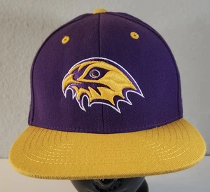 Community College Of Denver CityHawks Hat Purple Zephyr Wool Blend Z Snapback - Picture 1 of 7