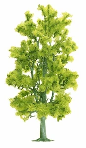 Busch H0 6776 Betulla - NUOVO - Foto 1 di 1