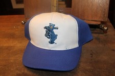 Southern League Tennessee Smokies Minor League Baseball Hat Cubs With Cardboard
