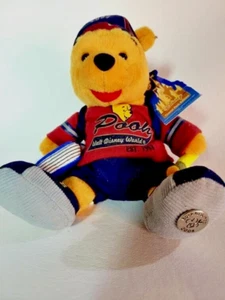 Disney World Resort Winnie the Pooh 2004 peluche regreso a la escuela edición parque temático - Imagen 1 de 9