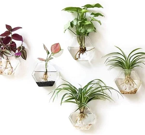 Hexagon Wall Planter Set - 3 Pack Glass Propagation Terrarium Vases with Hang... - Picture 1 of 9
