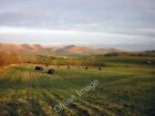 Photo 6x4 Silage field and the Howgills Beck Foot/SD6196 A late harvest  c2011