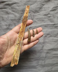 Rare Pterosaur Fossil Beak With Tooth Set Dinosaur Kem Kem Morocco  - Picture 1 of 4
