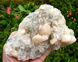 APOPHYLLITE PEACH STILBITE LARGE CLUSTER AAA GRADE SPECIMEN 180mm x 120mm 915grm - Picture 1 of 6