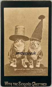 CDV GATO ANTROPOMÓRFICO EN SOMBRERO PUNTERO TIPO GAFAS FOTOS ANTIGUAS - Imagen 1 de 2