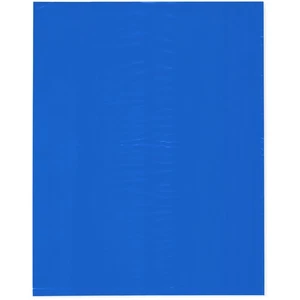 Plymor 12" x 15", Blue 2 Mil Flat Open Plastic Poly Bags - Picture 1 of 4