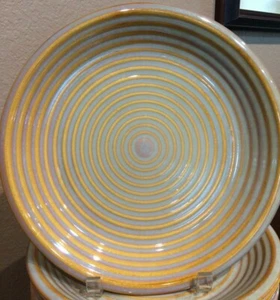 Oneida Casual Settings "Infinity-Honey" Dinner Plate (4) - Picture 1 of 2