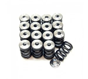 GSC Power-Division SINGLE SPRING/TITANIUM RETAINER SET (FOR SUBARU) - Bild 1 von 1