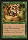 Stalking Tiger | MtG Magic Mirage | English | Near Mint-Mint (NM)
