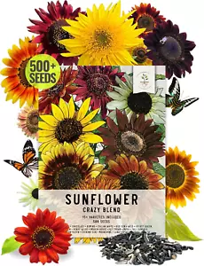 , 500+ Sunflower Seeds for Planting the Original Crazy Blend (15+ Heirloom Varie - Picture 1 of 12