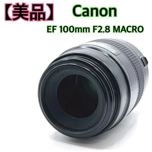 Canon EF 100mm F/2.8 Macro Lens from Japan - Picture 1 of 9