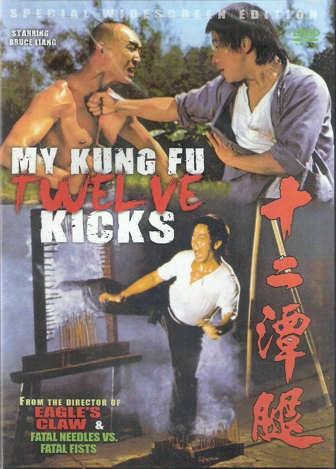 MY KUNG FU TWELVE KICKS -Hong Kong RARE Kung Fu Martial Arts movie -15B - Image 1 of 1