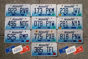 10 KENTUCKY HORSE GRAPHIC LICENSE PLATES TAGS BULK PRICE SET LOT ART DECOR LQQK - Picture 1 of 5