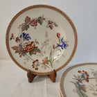 Assiettes Creuses Terre De Fer Polychrome Faïence Anglaise Brownfield, 1890
