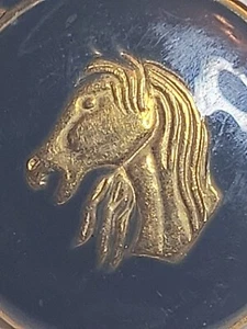 Lot Of 5 -¾" And 1 -⅝" Gold Horse Metal Shank Buttons On Navy Background - Picture 1 of 13