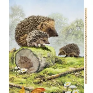 Hedgehog Family Fabric Cotton By The Panel Craft Quilting David Textiles - Picture 1 of 1