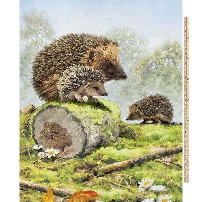 Hedgehog Family Fabric Cotton By The Panel Craft Quilting David Textiles - Image 1 of 1
