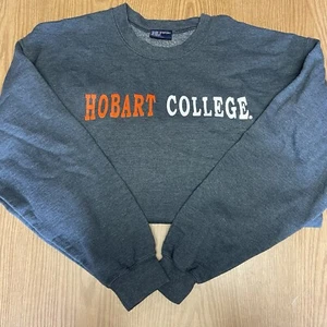 Hobart College Basic Grey Classic Pullover Sweater Youth Large - Picture 1 of 6