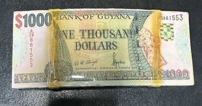Pila de $1000 Mil Billetes de Dólar de Guyana Novedad Hebilla de Cinturón Foto 1 de 2