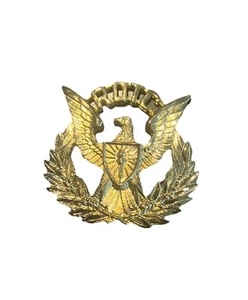 ROTC Gold Mützenabzeichen Adler mit Schild auf Brust hält Olivenzweig & Pfeile B-06 - Bild 1 von 3