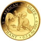 Złota moneta Słoń Afrykańska przyroda 2024 - Somalia - 0,5 gr PP