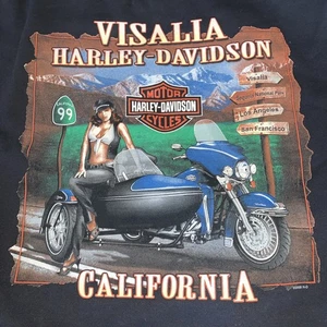 2009 Vintage USA Harley Davidson California US 99 Visalia CA Graphic Hoodie Black L - Bild 1 von 9