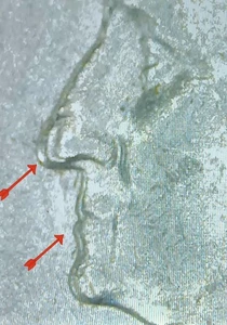 2002 P - Indiana - State Quarter,DDO - Picture 1 of 5