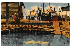 TURTLE CRAWLS Key West Makers of Green Soup Boats Dock Florida FL Postcard Linen - Picture 1 of 2