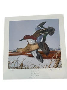 Asociación de Caza de Patos Estampado Firmado JEFFREY RODERICK "Descenso Errático" - Imagen 1 de 12